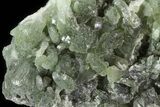 Green Prehnite Crystal Cluster - Morocco #80690-1
